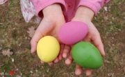 Easter-Egg-Hunt