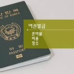 대한민국 여권입니다