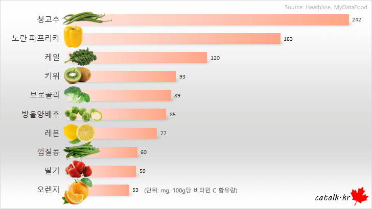 비타민C 가장 많은 식품 Top 10 & 하루 권장량